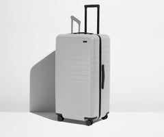 The Trunk in Cloud Gray