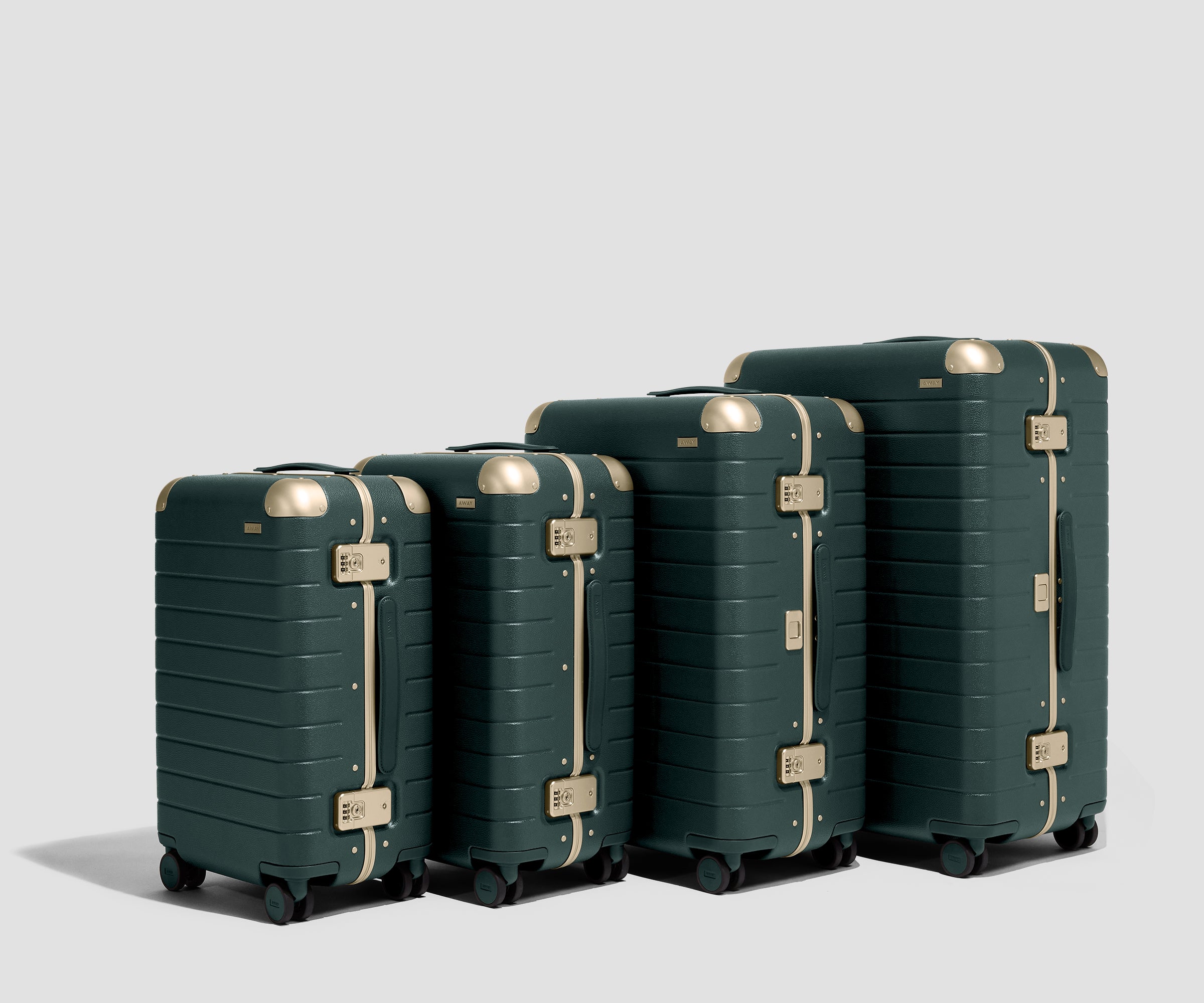 The Aluminum Edge Large in Ivy Green